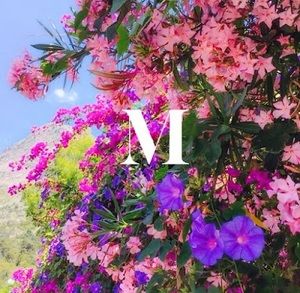 Meet your Posher, Honeybee.melissa